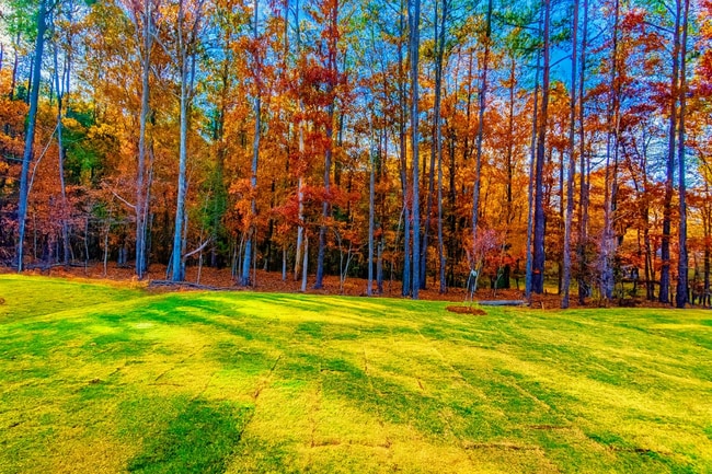 Photo - 1024 Red Roses Ave