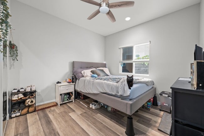 Photo - Spacious turfed yard!