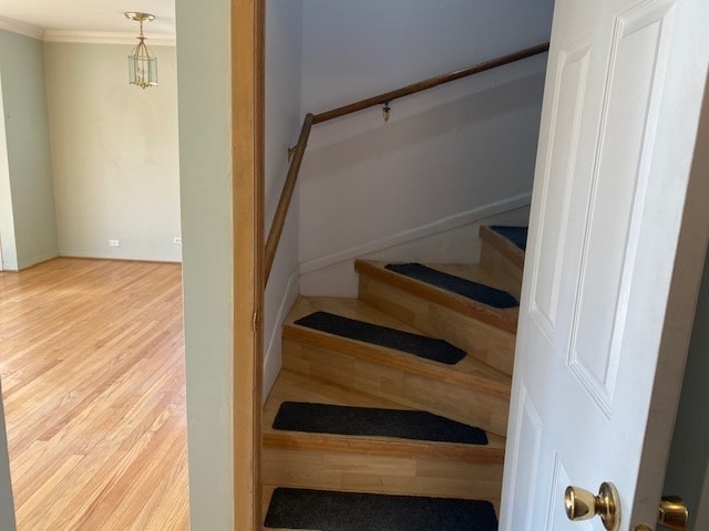 Photo - 312 N Reuter Dr