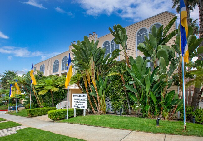 Cape Brentwood
