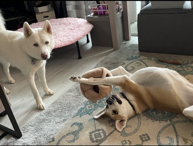 Photo - 23960 58th Ct S