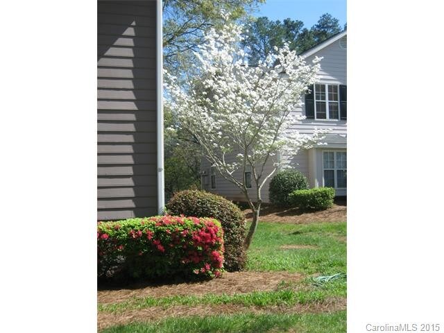 Photo - 5226 Amity Springs Dr