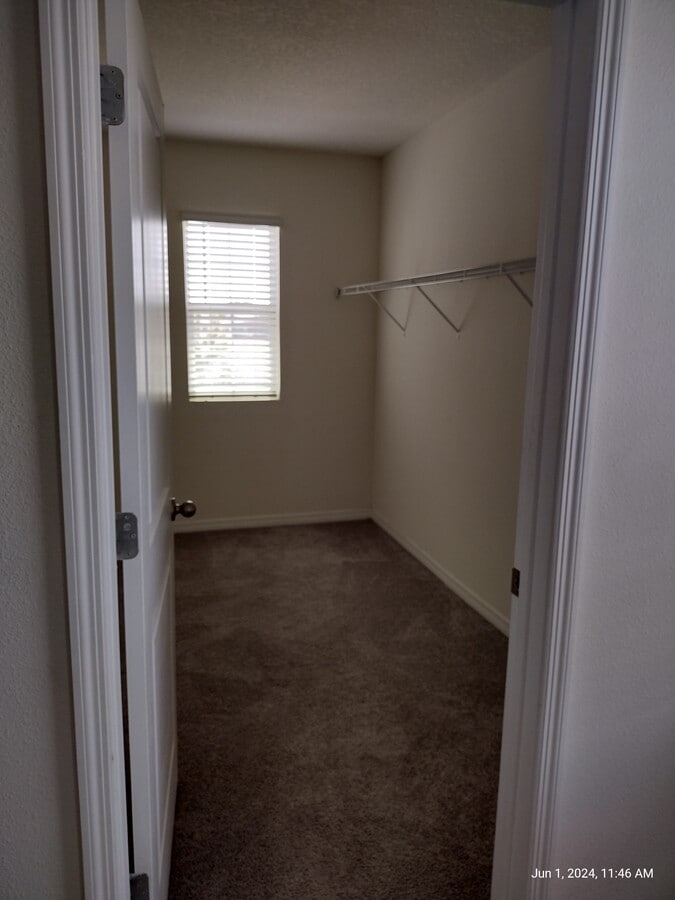 Photo - 10857 Trailing Vine Dr