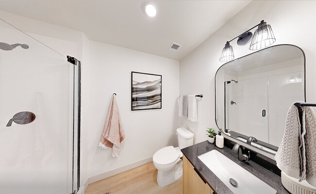 Montaire Website -9 - Montaire