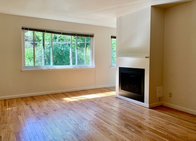 Photo - Blue Dolphin