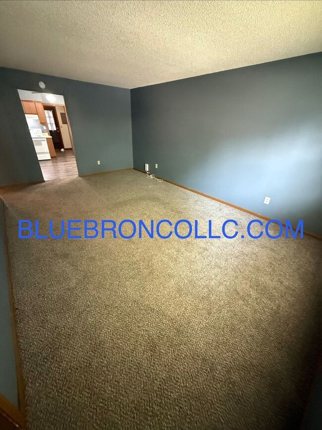 Photo - Updated 2-Bedroom Apartment in Raytowm Unit 9117