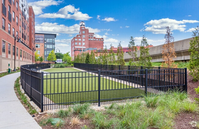 Dog Park - Axel Brewers Hill