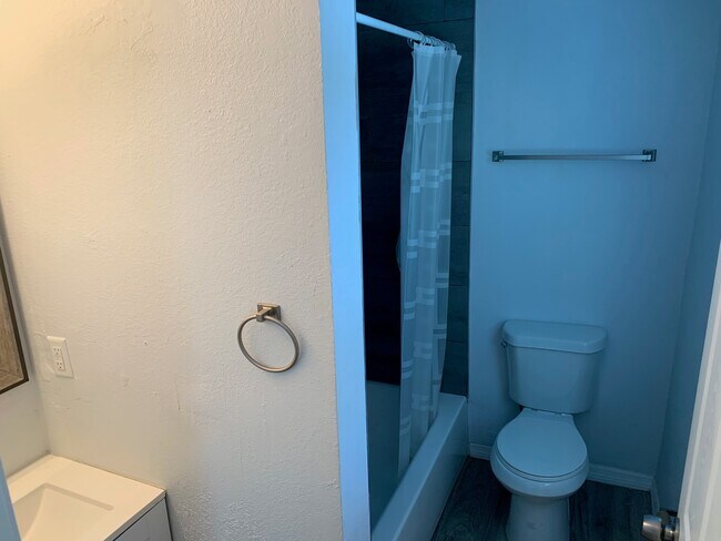 Photo - 1 Bed/1 Bath - Unit 2