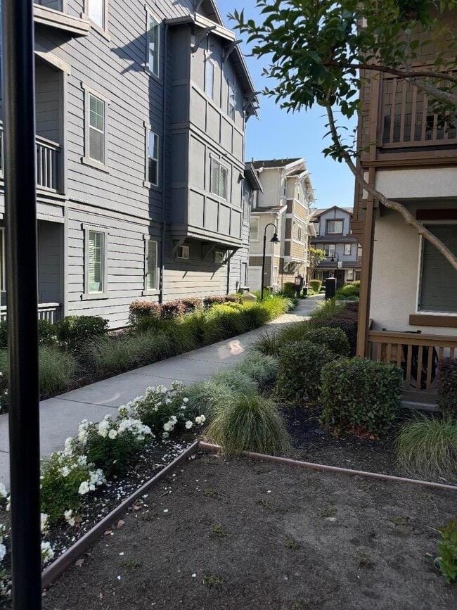 Photo - 17075 St Cecilia Ln