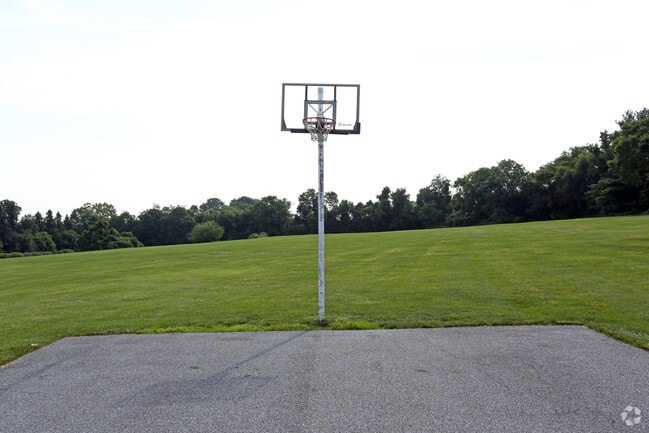 Basketball Court
