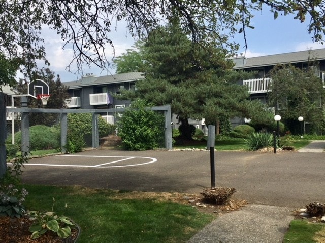 Basketball court