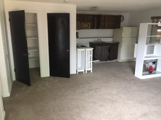 Kitchen in living room showing storage