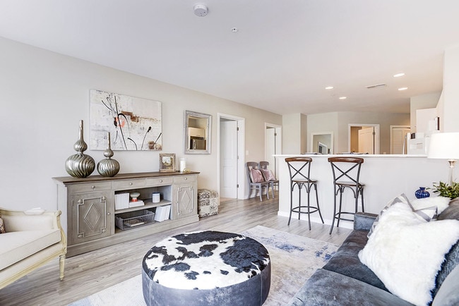 Photo - Artena Manassas