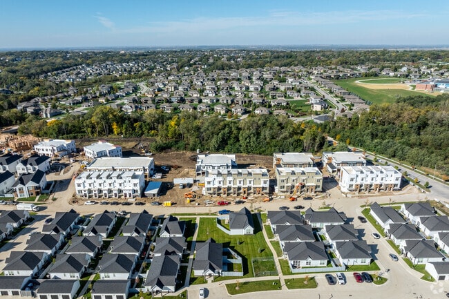 Aerie Blue Sage - Aerie Blue Sage