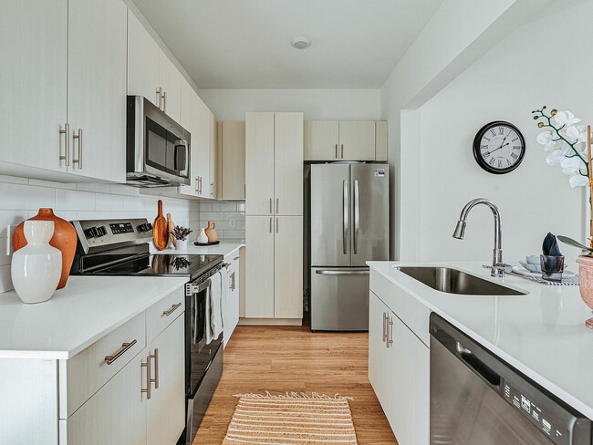 LEO at Cartersville- Single Family Rental Homes