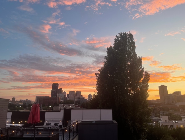 Building Photo - Capitol Hill/Cherry Hill Townhouse