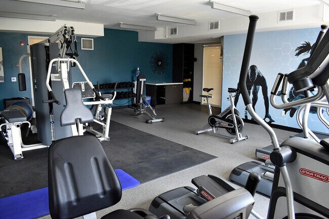 Strong Living Starts Here - LoHi Gold