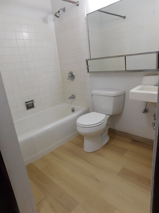 Large Mirror Over Toilet and Sink