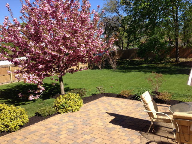 Photo - 157 Little Plains Rd