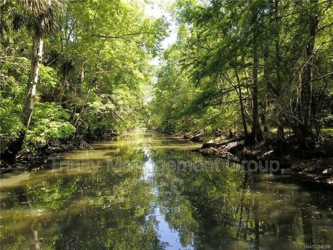 Photo - 217 S Tuck Point