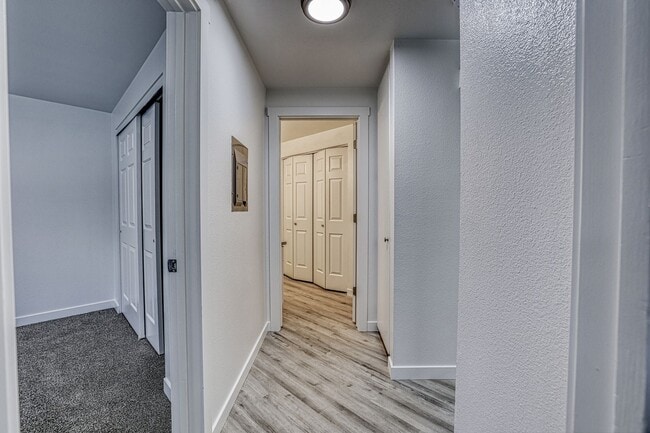 The Pines Apartments