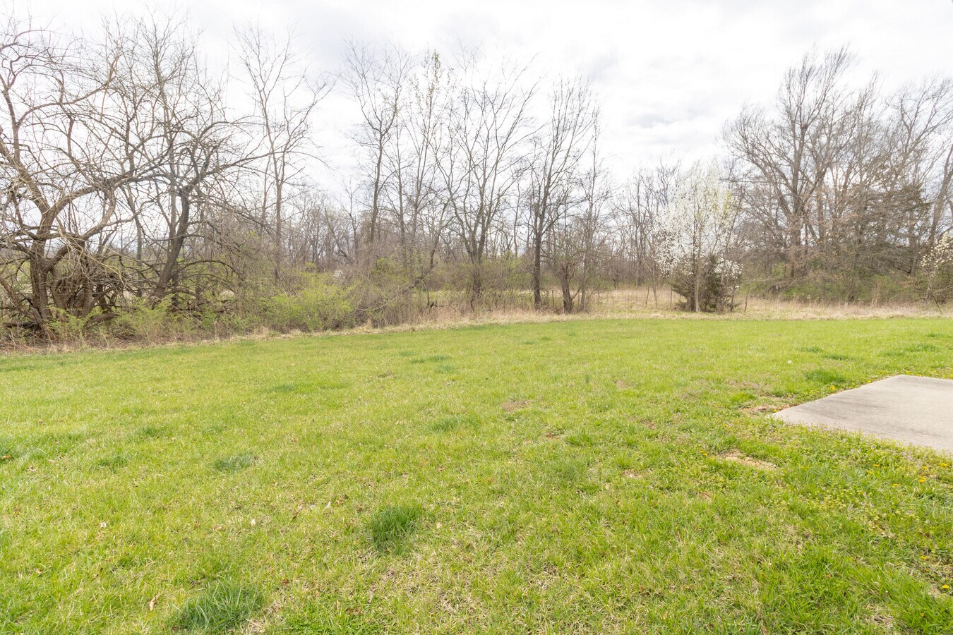 Photo - 7362 Noah Ct