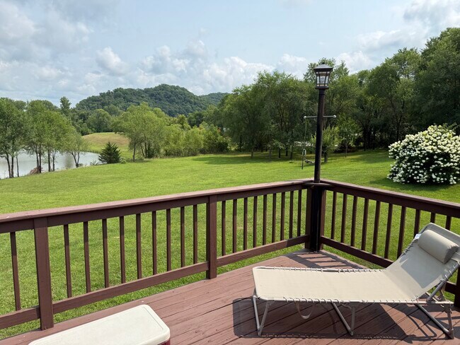 Backyard - 103 Sand Lake Ct Unit 103 Sand Lake Court