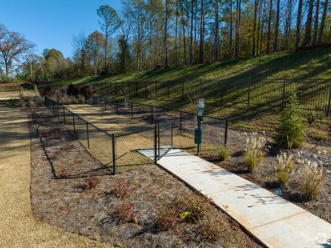 Dog Run