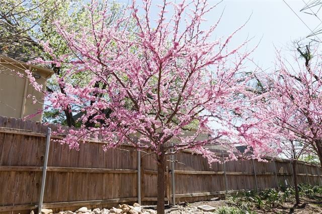 Photo - 4044 Buena Vista St Unit 104