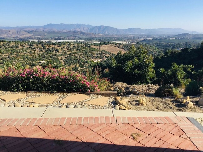 Photo - Top of the Hill