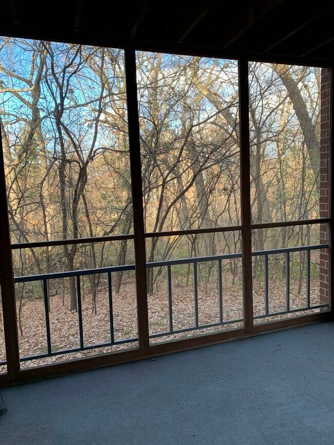 View into the woods