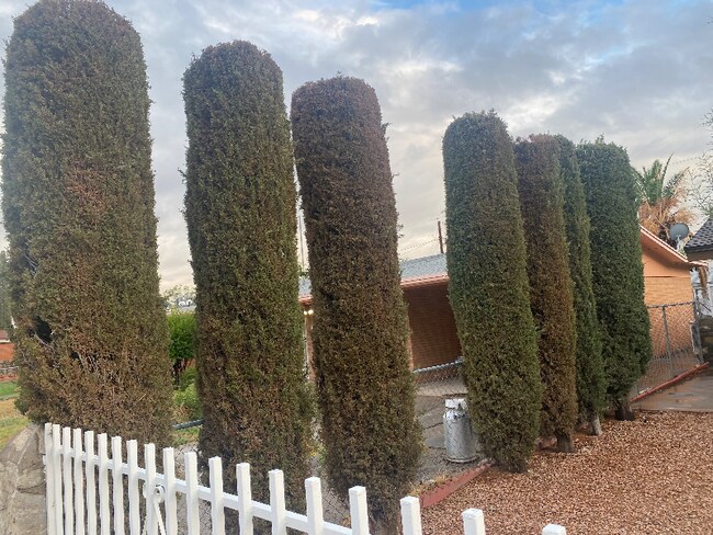 Photo - 7116 Orange Tree Ln