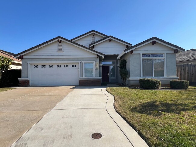 Building Photo - Newly Renovated