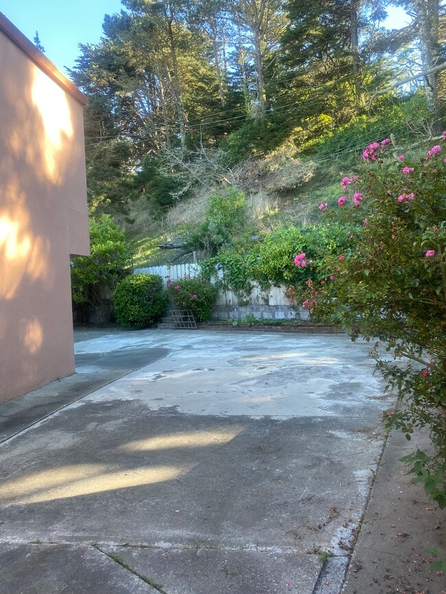 Photo - 204 Palisades Dr