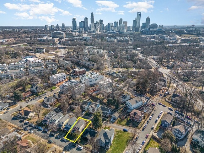 Photo - AVAILABLE TO SHOW!