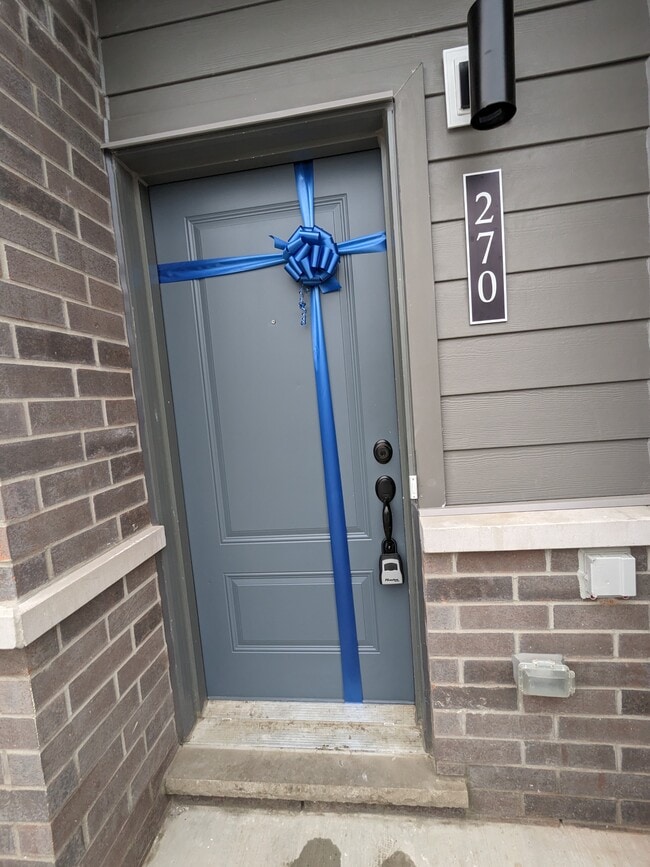 Photo - 270 Anyolite Private