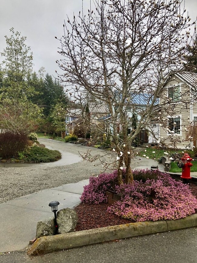 Building Photo - Cute Poulsbo Townhouse