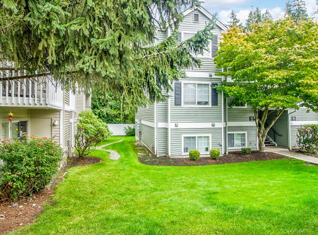 Building Photo - Pacific Heights Rental