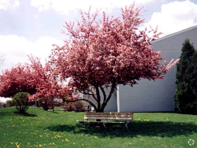 Beech Pointe Apartments