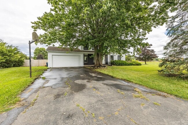 99 Forest Meadow Trail