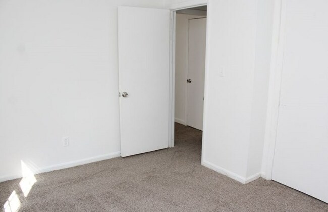 Photo - Centry Forest