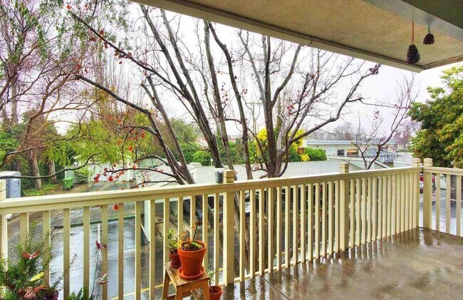 Photo - 37248 Meadowbrook Common Unidad Apt 204