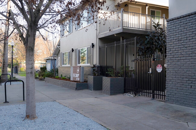 The Canopy - The Canopy