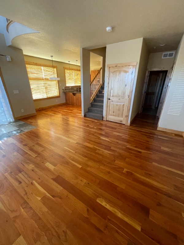275 Carina Cir