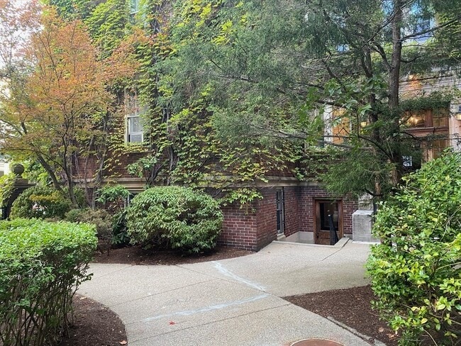 Photo - 97 Chester St