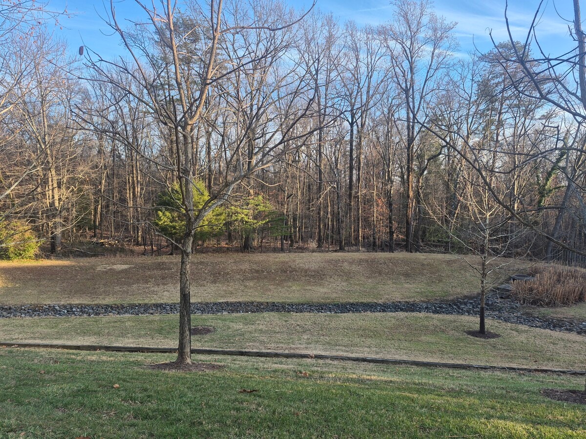 Photo - 13409 Shady Knoll Dr Unit Aspen Forest 11