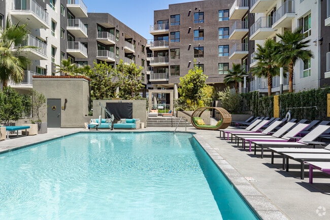 Pool - The Ovelo Hollywood