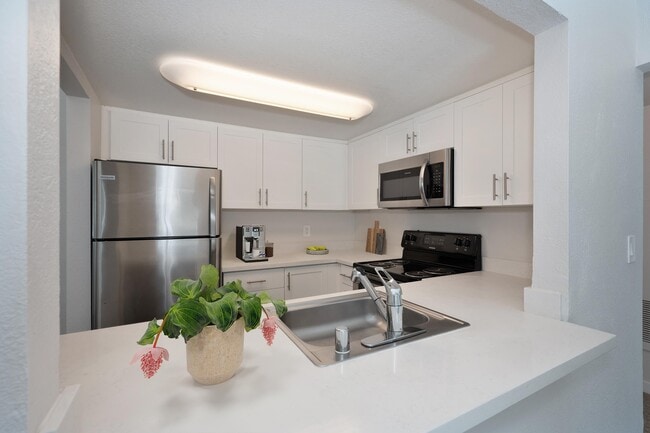Open Kitchen