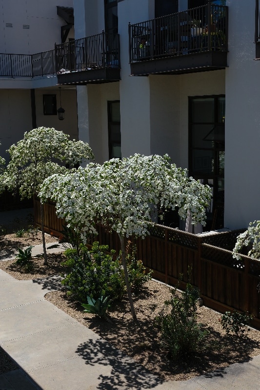 Photo - 925 The Alameda Unit 108