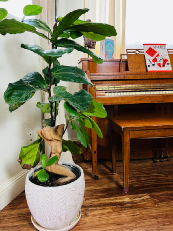 Photo - 211 Norton St Unit 211 Main House